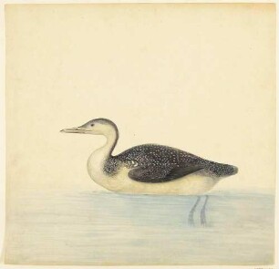 Ente