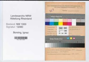 Entnazifizierung Ignaz Borsing, geb. 31.07.1900 (Postbetriebswart)