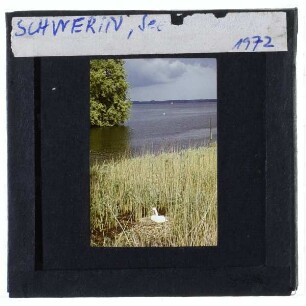 Schwerin, See