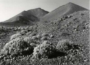 Vulkanlandschaft auf Fuerteventura, Agua Bueyes