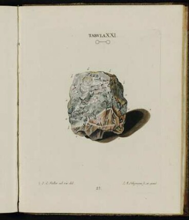 Tabula XXI.
