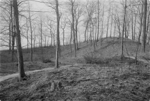 Alte Schanze bei Gröditz. : Hrodźišćo pola Hrodźišća
