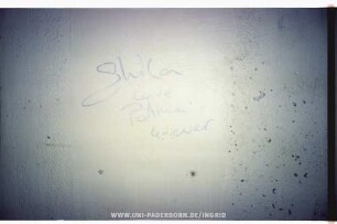 Shila Love Palme 4-ever