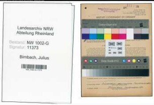 Entnazifizierung Julius Birnbach, geb. 12.08.1907 (Kellner)