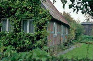Schlamersdorf: Twiete 20: giebelständige Fachwerkkate mit Blechdach: Straßengiebel mit Kletterpflanzen [angeschnitten]: Traufseite mit Gartentür: hinten rechts Holzscheune