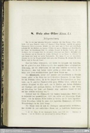 8. Erle oder Eller (Alnus, L.)