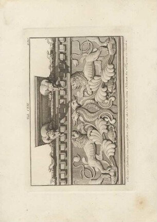Tab. CVIII.