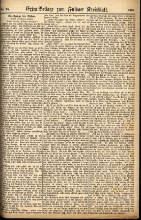 Zweite Ausgabe vom Dienstag, den 11. Mai 1880.