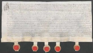 Instrumentum probationis des Clemens Vinzenz von der Heyden gen. Belderbusch.