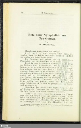 Eine neue Nymphalide aus Neu-Guinea