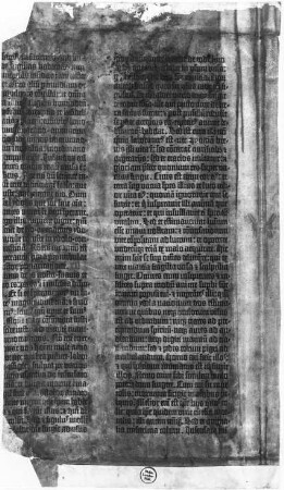 Textseite der 42zeiligen Bibel : Biblia. Blatt 3v (fol. 29v) der 42zeiligen Bibel. Mainz: J. Gutenberg, um 1452/1455. Dreifarbendruck auf Pergament, ca. 35,8 x 20,5 cm; Dresden: SLUB Ink.1068