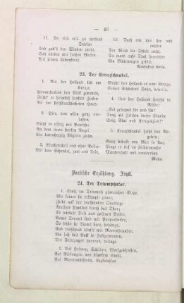 Politische Erzählung, Idyll