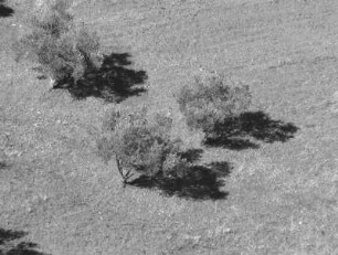 0381_SierraSW