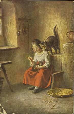 [Häusliches Zusammenleben mit Katzen]