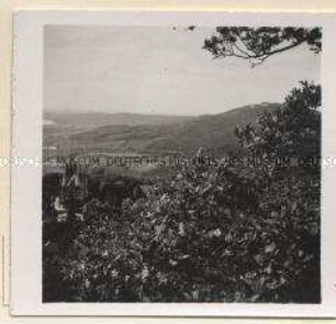 Königswinter, Vom Drachenfels
