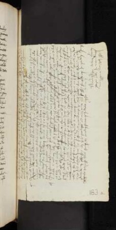163a Consilium von Nicolaus Jäger in gleicher Sache