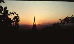 Blick auf das Freiburger Münster