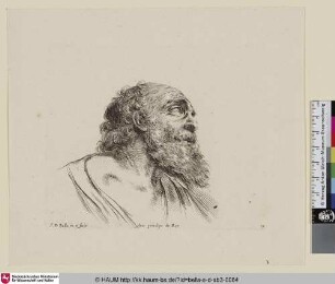 [Kopfstudie eines Greises im Profil; Tête de vieillard avec grande barbe ...; Study of the head of an old man ...]