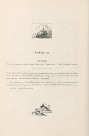 Plate 32. Monkey