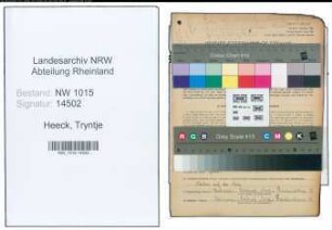 Entnazifizierung Tryntje Heeck , geb. 23.09.1906 ()