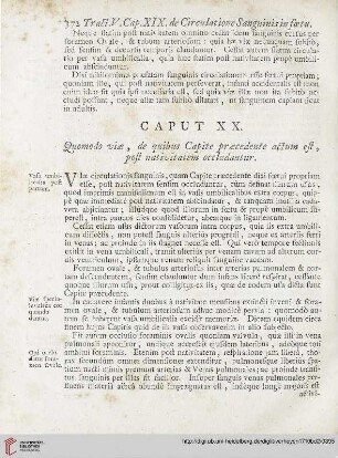 Caput XX: Quomodo viae, de quibus Capite praecedente actum est, post nativitatem occludantur