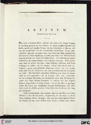 Arpinum: Vierzigste Platte