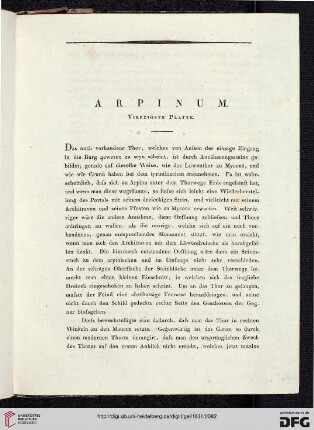 Arpinum: Vierzigste Platte