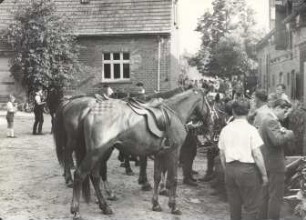 Johannisreiten in Casel : Gesellschaftliche Volkskultur - Frühling/Sommer. Ort: Kózle / Casel. Nach dem Johannisreiten. Die Reiter und Pferde gönnen sich eine Atempause auf dem Hof des Dorfgasthauses.