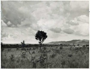 Goiás, Sandsteingebirge