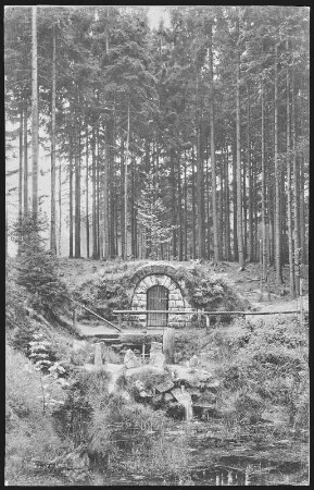Grillenburg. Warnsdorfer Quelle im Grillenburger Wald