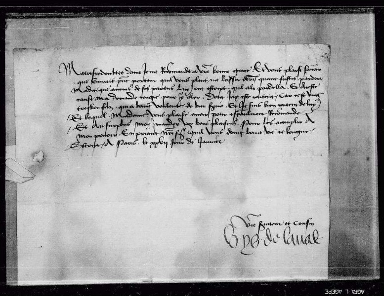 Briefwechsel der Gräfin. Darunter: Graf Ludwig 1449; Erzherzogin Mechthild 1468-79; Gräfin Barbara 1478; mit Baden 1461, 1472; Burgund 1454, 1462; Frankreich 1461; Herzog von Mailand 1473; Pfalz-Bayern 1455-78; Fürstin Jolante von Piemont 1475, 1460; Haus Savoyen 1453-74; Kloster Binsdorf 1470, 1471; Peter von Hagenbach, undat.; Schultheiß von Luzern Heinrich von Humwil 1469-72; Francois Malet 1456-65; Amtmann zu Möckmühl 1456-62; Schultheiß zu Backnang 1468-78; Dr. Heinrich Steinhöwel 1474; Graf Johann von Werdenberg 1467; Propst Ulrich Wirtemberger zu Stuttgart 1473; Komthur zu Ysenheim 1456, 1458.