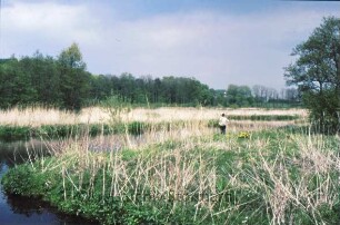 Brenner Moor