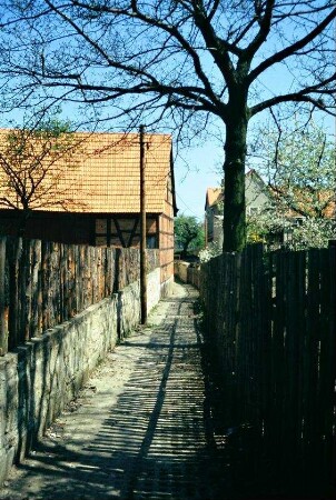 Stichweg zwischen Staketenzäunen, großer Baum, Scheune