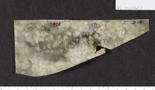 CIL XV 3928 β, Gelatinefolie