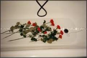 Rosen in einer Badewanne (Sonderthema: Liebe)