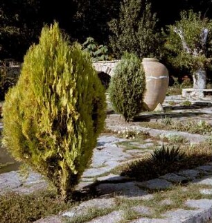 Gartenanlage in Baltschik