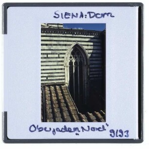 Siena, Dom