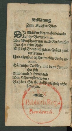 Erklärung Zum Kupffer-Blat.