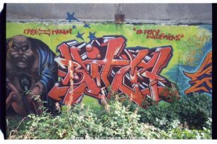 BitCH | "DA FOXY MAVEriCKS" | CASE MAUN