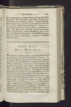 Sechste Klasse. Die Würmer.