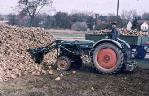 Fotografie: Traktor, Frontlader, Zubehör, Be- und Entladen, Zuckerrübe