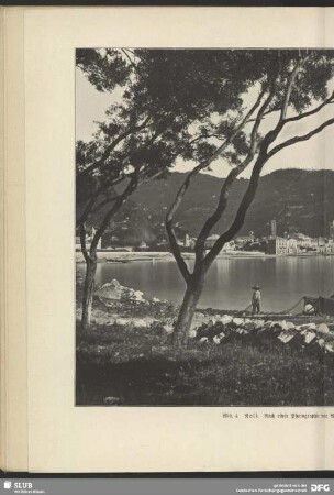 Noli