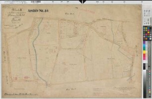 Rheine r.d.Ems (Rheine), Zusammenlegung Rheine rechts der Ems, Urkarte II Flur 38