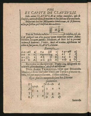 VIII. Ex Capite De Clausulis.