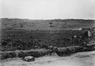 Landschaft bei Itapetininga : Blick auf Grasland, im Vordergrund mit Felsen übersäht. Im Hintergrund verlaufen am Hang eines Hügels Leitungen. Links im Hintergrund eine Plantage, rechts am Hang Grasland mit eizelnen Bäumen.