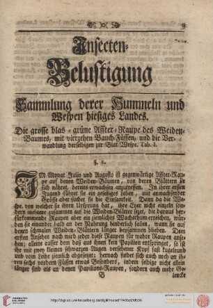 Hummeln und Wespen