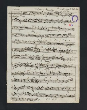 135-144, Violone Violoncello
