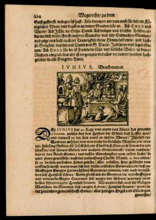 Iunius, Brachmonat.
