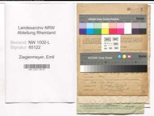 Entnazifizierung Emil Ziegenmeyer , geb. 04.08.1906 (Kaufm.Angestellter)