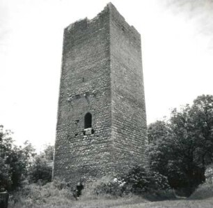 Sachsenburg (Kreis Artern). Untere Sachsenburg (Anfang 13. Jahrhundert). Bergfried
